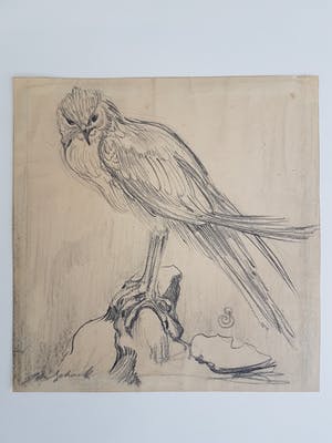 Jan Schonk - Kuikendief kopen? Bied vanaf 100!