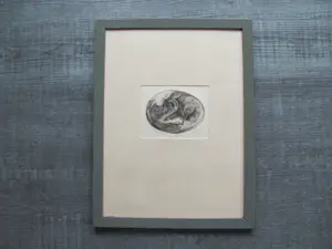 Ton Diekstra - Kuiken in ei kopen? Bied vanaf 55!