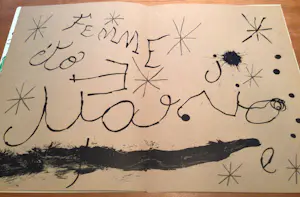 Joan Miro - DLM 151-152 - Jaar 1965 - Uitstekende conditie - Geheel kompleet - Zeldzaam kopen? Bied vanaf 450!