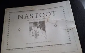 Peter van Straaten - Nastoot kopen? Bied vanaf 10!