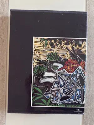 Pablo Picasso - 1945-1973 - Klaus Gallwitz - éditions Denoël kopen? Bied vanaf 40!