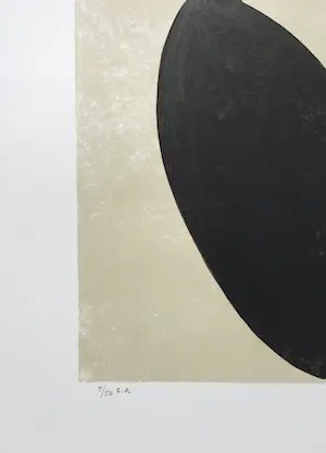 Ronald Noorman - litho ‘In het land der blinden’ - 1994 kopen? Bied vanaf 65!