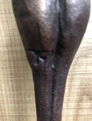 Jos Gielen - Twee levens in één gesmolten - Beeld Brons kopen? Bied vanaf 149!