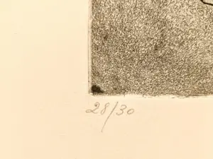 Roger Somville - Een stel + een geïllustreerd boek over Somville Roger. kopen? Bied vanaf 89!