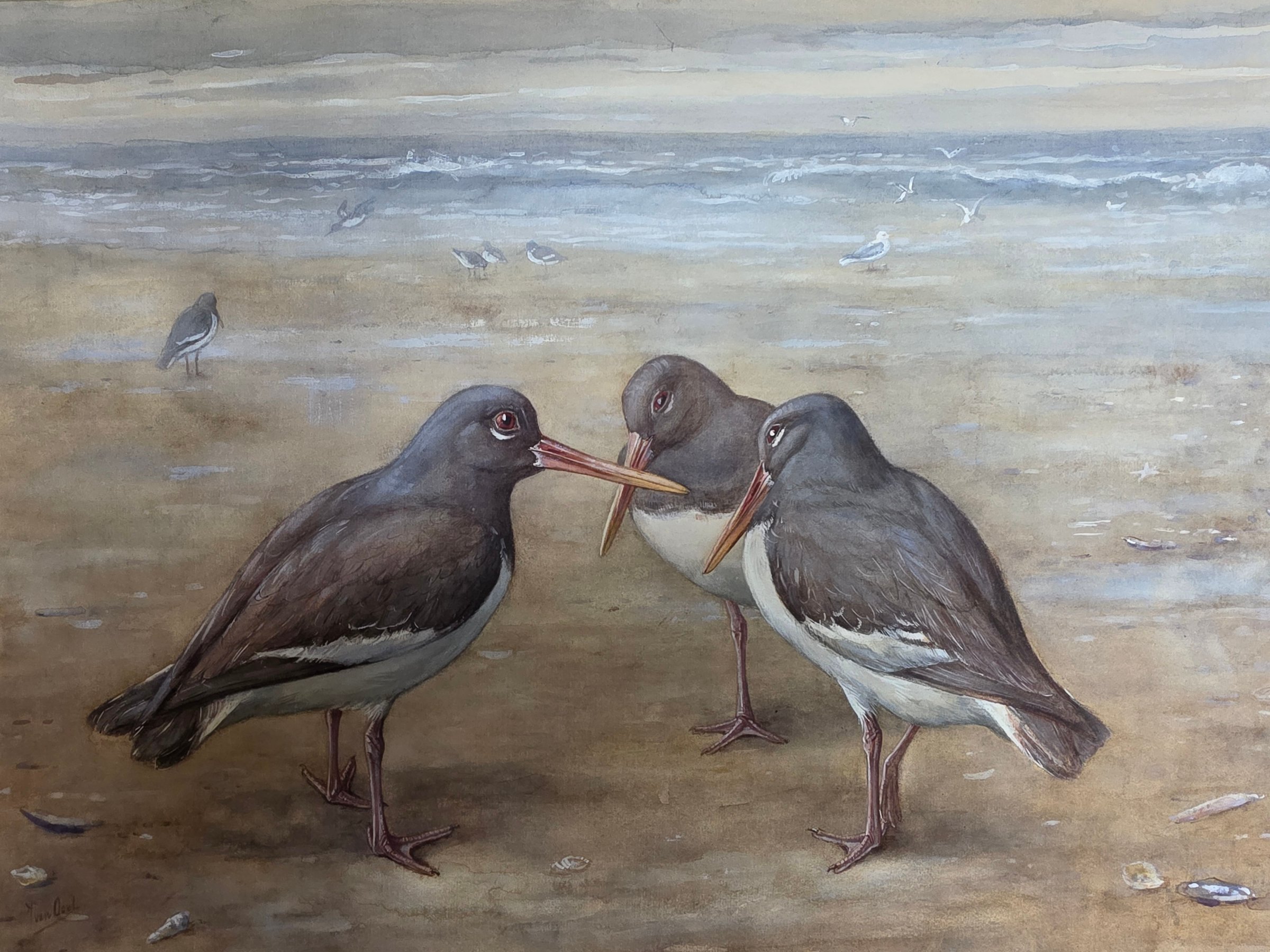 Buy Jan van Oort - Drie scholeksters op het strand? Bid from 750!