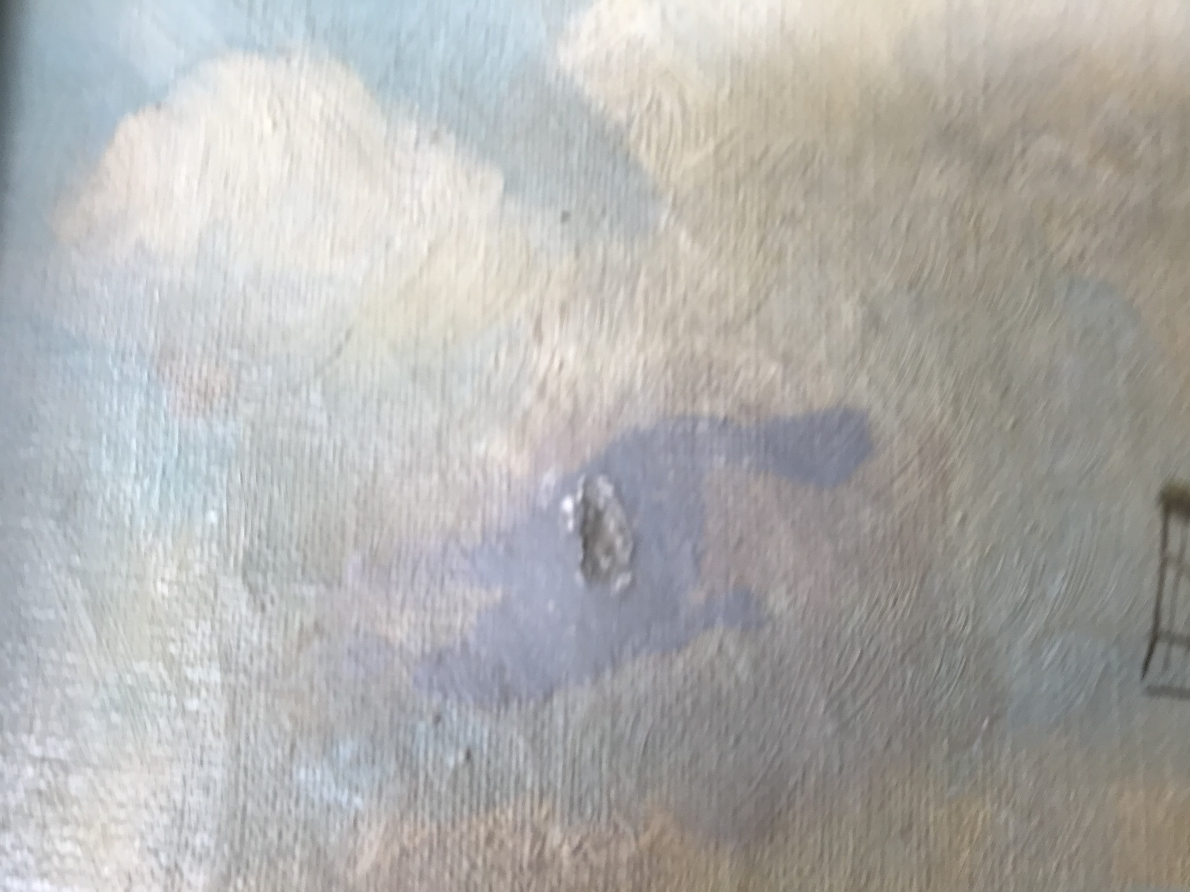 Niet of onleesbaar gesigneerd - Polderlandschap met molen aan een vaart kopen? Bied vanaf 1!