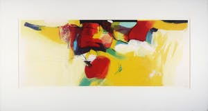 Pieter Vermeulen - Zeefdruk, Kersenschaal (Groot) kopen? Bied vanaf 1!