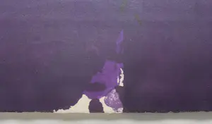 Antoni Tapies - handgesigneerde litho | 'El pa a la Barca' | 1963 (INGELIJST) kopen? Bied vanaf 700!