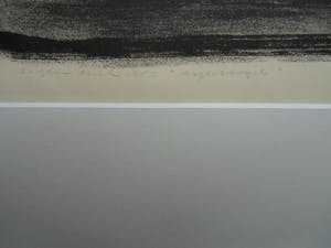 Jan Bezemer - ARGUSVOGEL /// LITHO VAN JAN BEZEMER kopen? Bied vanaf 50!