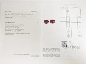 Toermalijn oorbellen kopen? Bied vanaf 450!