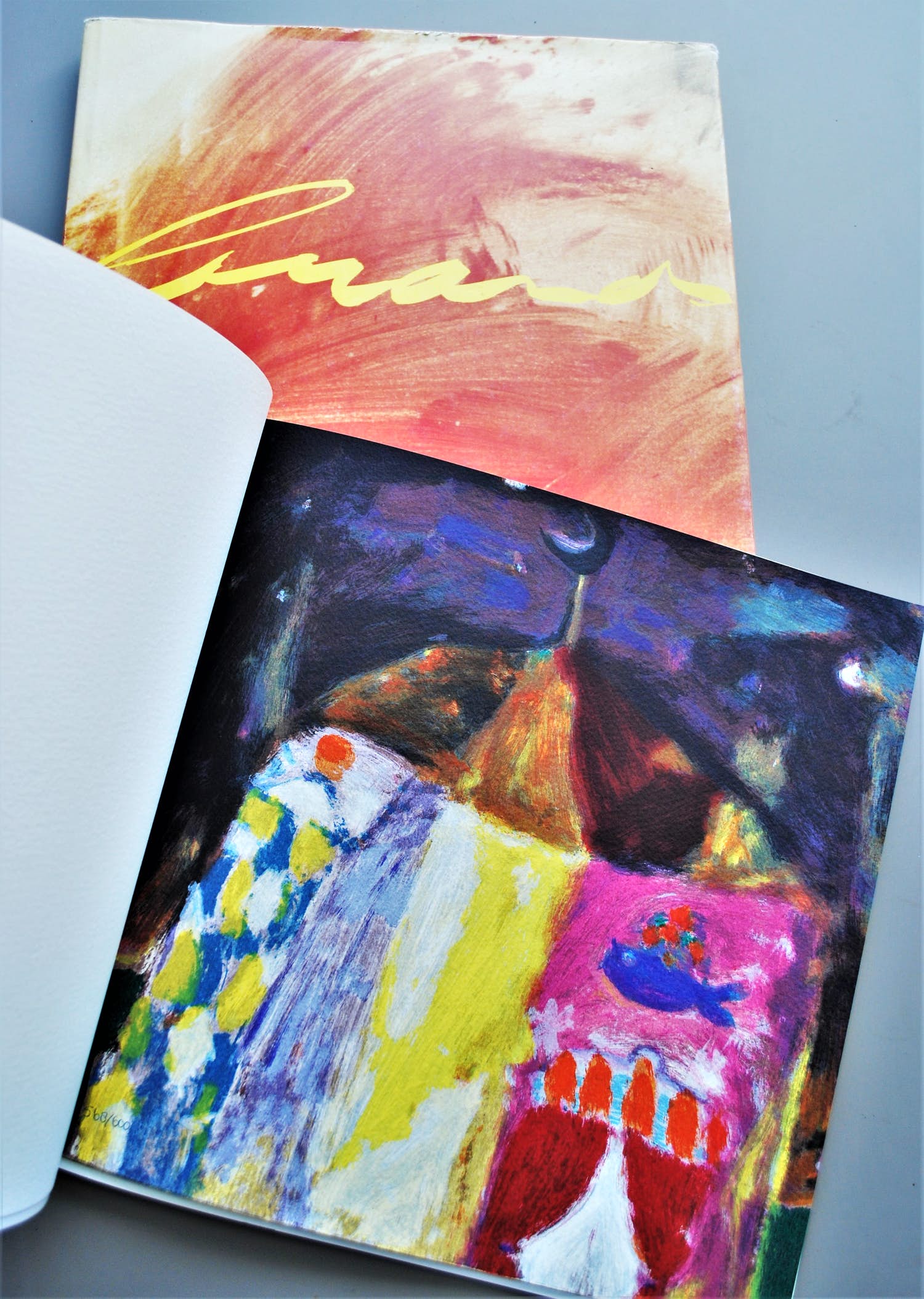 Eugène Brands - monografie + genummerde zeefdruk in boek + verkocht voor € 125!