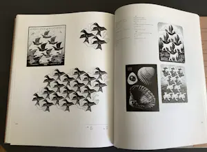 Maurits Cornelis Escher - Leven en werk van M.C. Escher kopen? Bied vanaf 30!