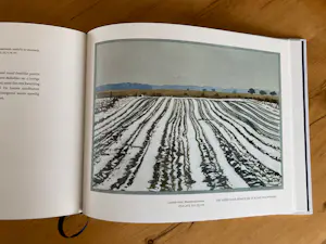 Siemen Dijkstra - Dwingelderveld In Transit kopen? Bied vanaf 45!