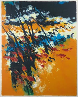 Mattie Schilders - Zeefdruk, Vormende hand van evolutie - Ingelijst (Groot) kopen? Bied vanaf 40!