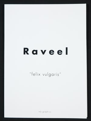 Roger Raveel - Suite van zes zeefdrukken, Felix Vulgaris kopen? Bied vanaf 1900!