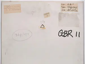 Gerard Brussee - b, gemengde techniek met collage (netjes ingelijst) kopen? Bied vanaf 40!