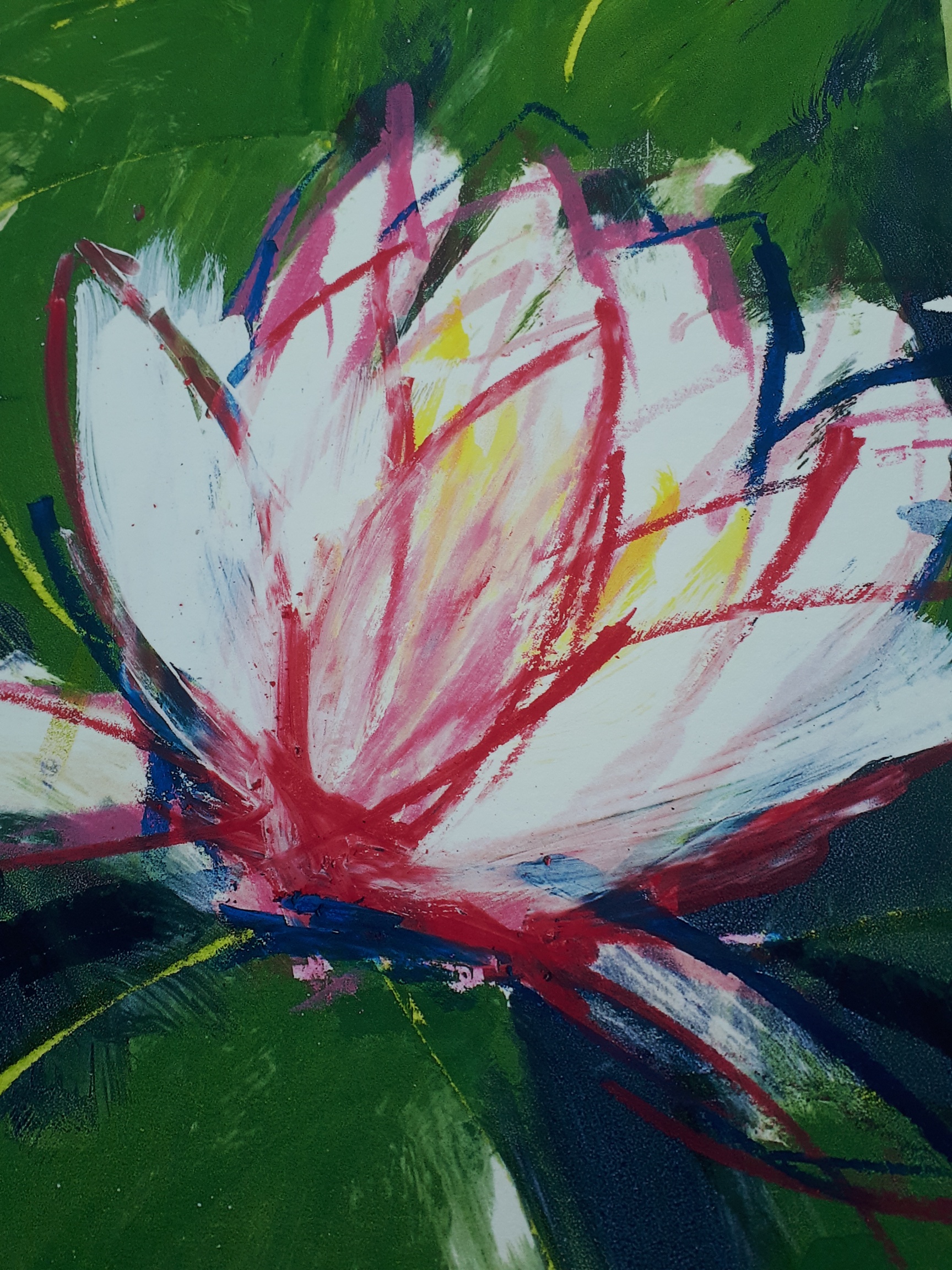 Ellen Meuwese - Waterlelies kopen? Bied vanaf 5!