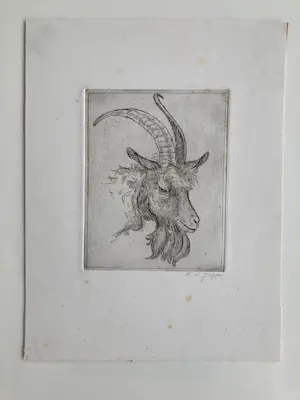 Cor. W Joppe - Geitenbok kopen? Bied vanaf 10!