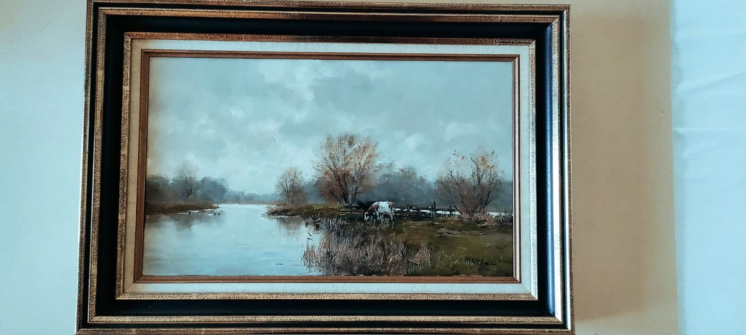 Frits Goosen - koe op het land met water kopen? Bied vanaf 300!