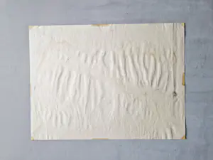 Henny Arkema-Niezen - Groninger Ploeg - Gouache/Oostindische inkt - Gronings landschap - gesigneerd kopen? Bied vanaf 34!