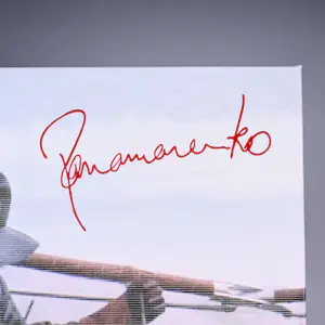 Panamarenko - Hawai kopen? Bied vanaf 845!