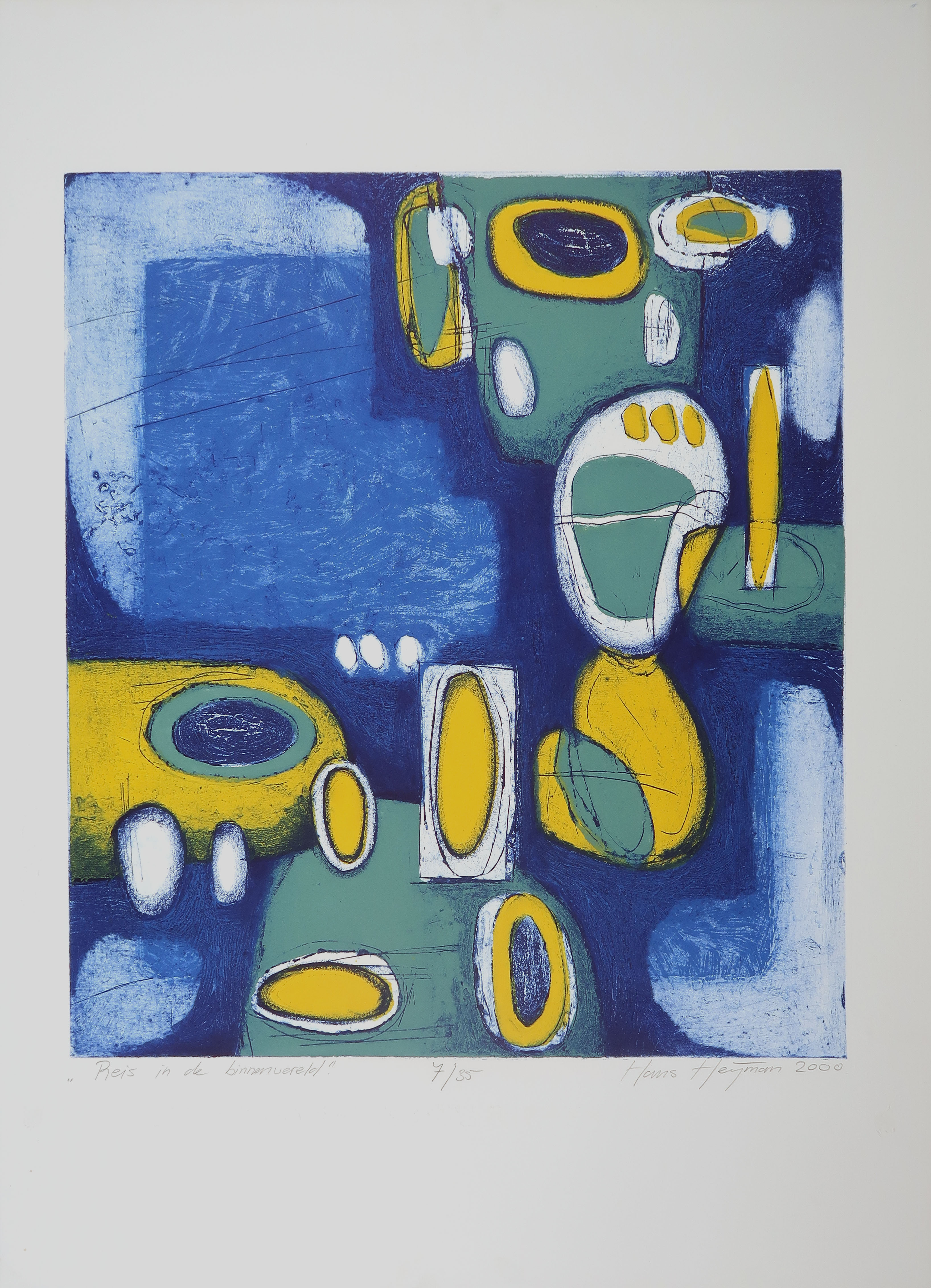 Hans Heijman - Kleurenets, Reis in de binnenwereld kopen? Bied vanaf 1!