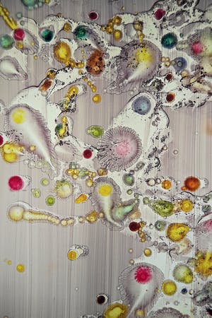 Marc Mulders - Abstracte compositie, piëzografie kopen? Bied vanaf 250!