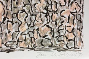 Jan Wolkers - zeefdruk uit 1993 - Winterbeelden. kopen? Bied vanaf 175!