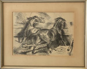 Jan Groenestein - Paarden kopen? Bied vanaf 29!