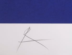 Rob Scholte - Zeefdruk, Copyright kopen? Bied vanaf 120!