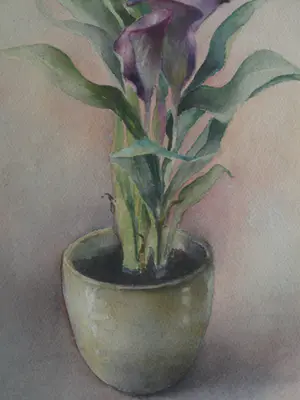 Niet of onleesbaar gesigneerd - Ingelijste aquarel , Bloemstilleven – onduidelijke signatuur… kopen? Bied vanaf 1!