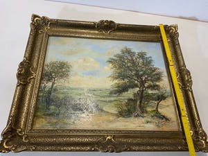 Joop Stoffels - Wageningen kopen? Bied vanaf 25!