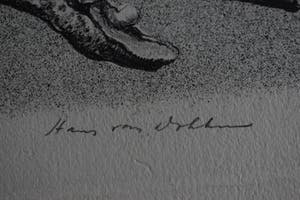 Hans van Dokkum - Het orgaanmonstertje met veren kopen? Bied vanaf 40!