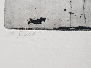 Jan Prins - Prachtige Ets - Gesigneerd in potlood kopen? Bied vanaf 15!