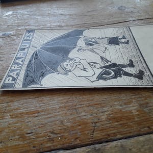 Douwe Jan van der Zweep - Parapluies kopen? Bied vanaf 20!