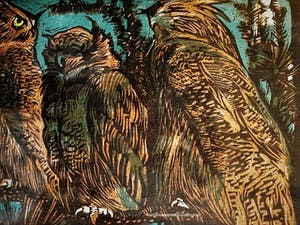 Louis Haver - Fraaie handgekleurde Linosnede "Uilen familie bij nacht" kopen? Bied vanaf 35!