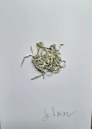 Jan Henderikse - Geshredderde Dollars - 2018 - 21 x 15 cm kopen? Bied vanaf 50!