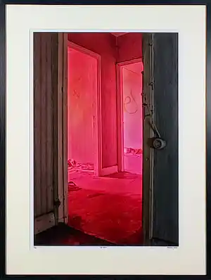 Arnoud van den Brink - Red house verkauft für € 40!