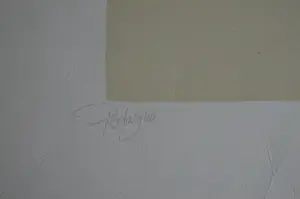 Peter Vos - 'Podargus Strigoide' kopen? Bied vanaf 200!