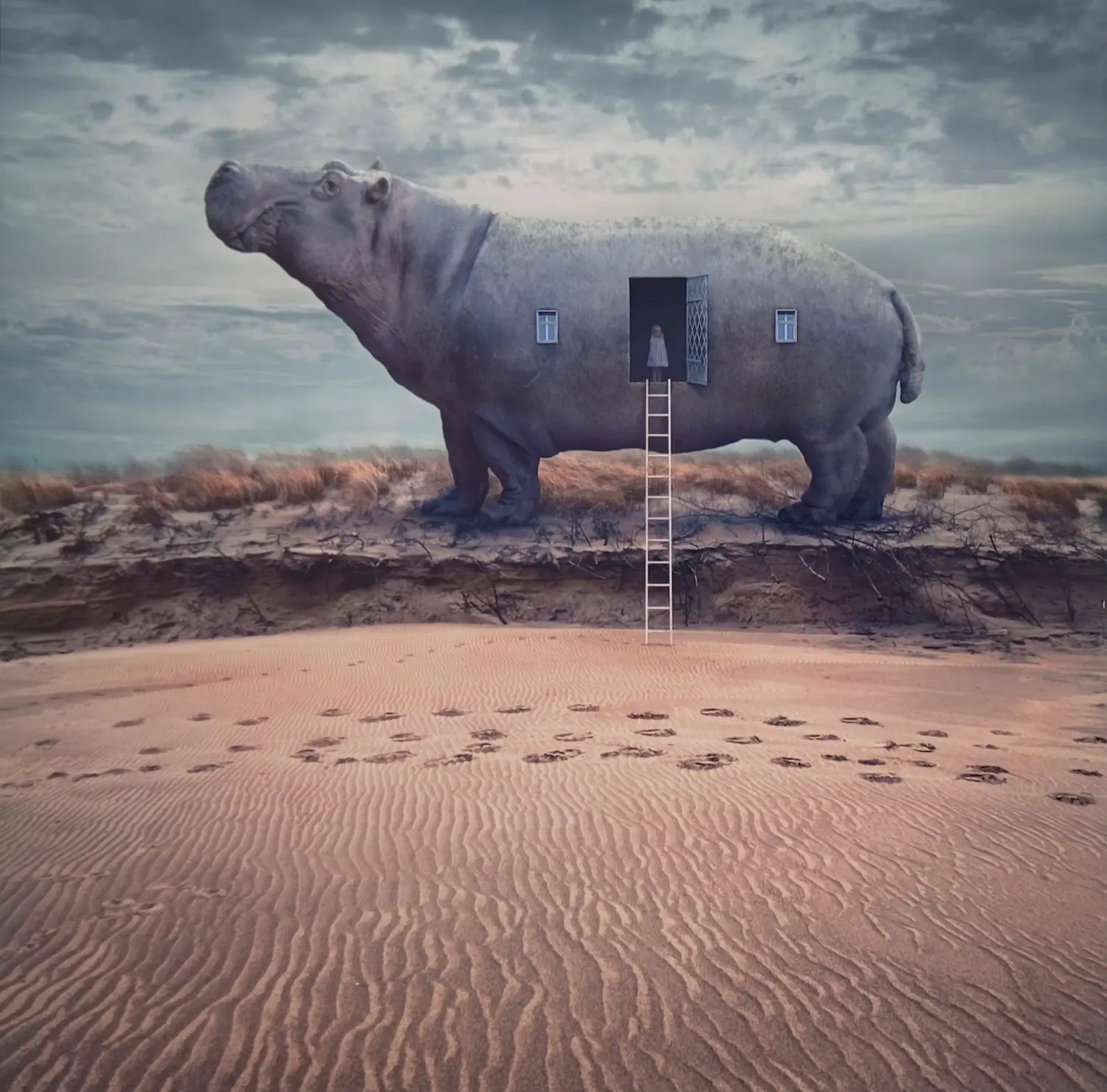 Dariusz Klimczak (1967-2023)