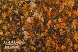 Jan Dibbets - Kleurenoffset-litho. Affiche LEO CASTELLI in 1975 (zeer zeldzaam) kopen? Bied vanaf 59!