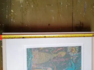 Pjeroo Roobjee - Superbaby kopen? Bied vanaf 20!