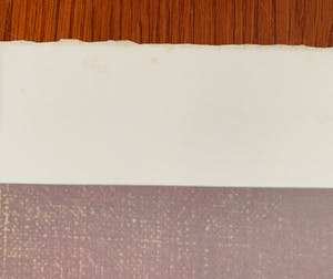 Leonor Fini - La Fille Médiévale kopen? Bied vanaf 25!