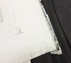 Ellen van Toor - Lot van drie zeefdrukken kopen? Bied vanaf 60!