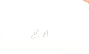 Lydia van Domburgh - Observatie kopen? Bied vanaf 30!