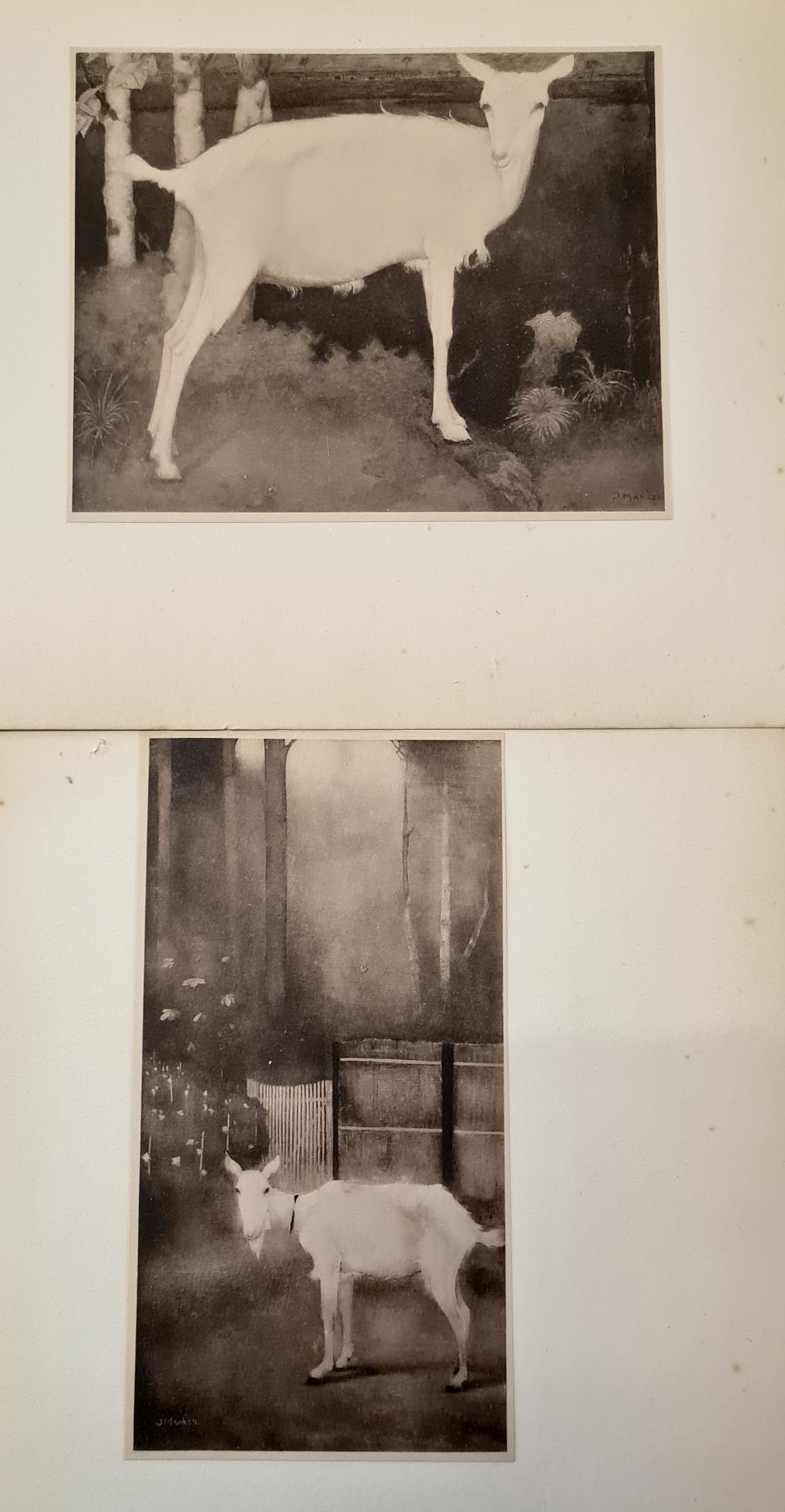Jan Mankes - 2 heliogravures kopen? Bied vanaf 1!