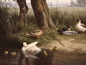 Ron Meilof - Eendjes kopen? Bied vanaf 695!