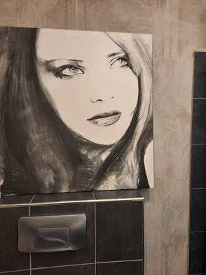 Anouk Griffioen - Vrouwenportret houtskool op doek kopen? Bied vanaf 150!