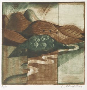 Brigitte Coudrain - Kleurenets, Petit olege kopen? Bied vanaf 1!