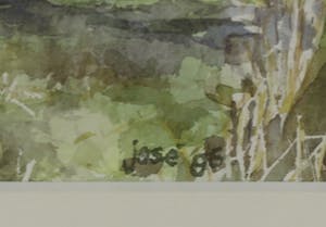 Niet of onleesbaar gesigneerd - Aquarel, Knotwilgen - Ingelijst kopen? Bied vanaf 10!